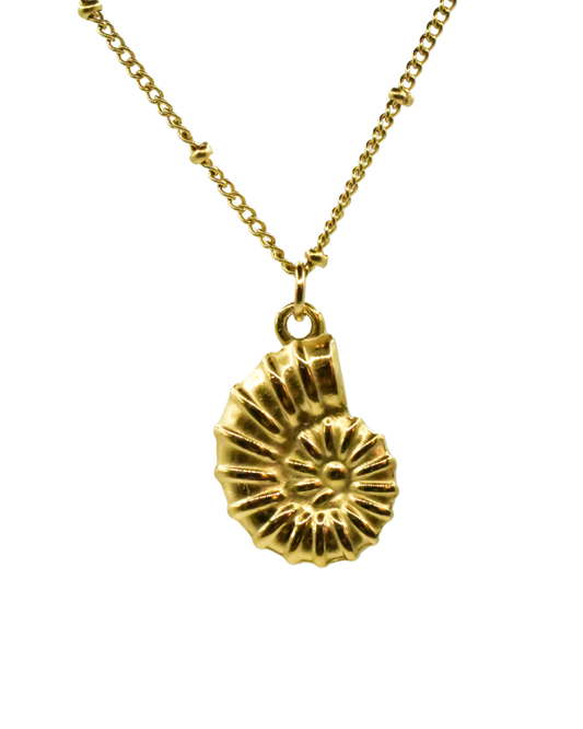Collar Caracola