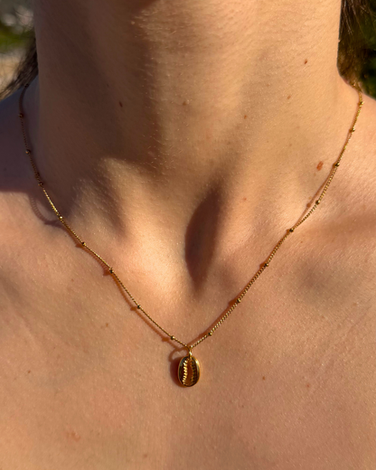 Collar Concha