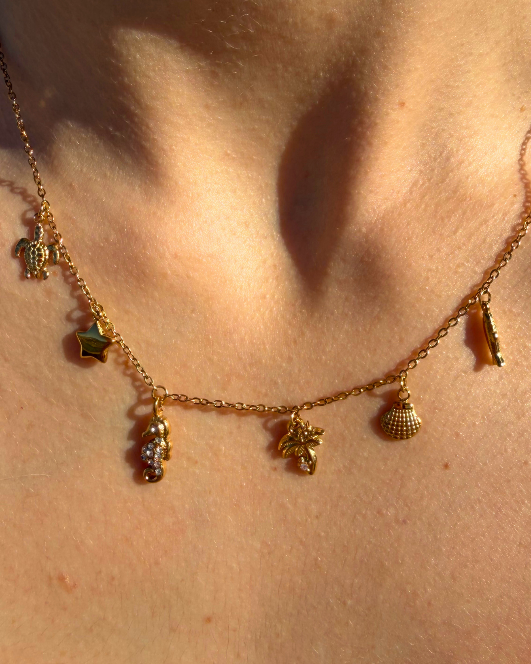 Collar Mar